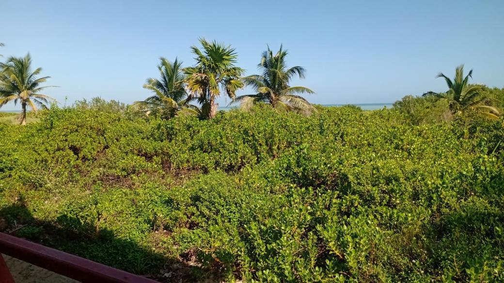 Cabanas El Cuyo Eksteriør billede